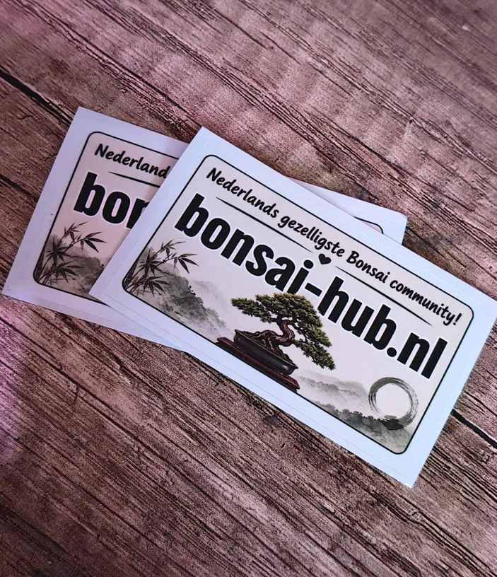 Rechthoekige bonsai-hub.nl stickers op een houten ondergrond